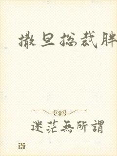 撒旦总裁胖前妻