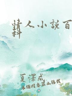 情人小说百度百科