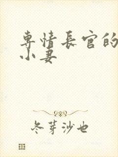 专情长官的天价小妻