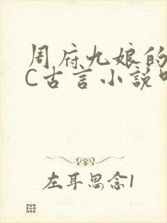 周府九娘的NPC古言小说叫什么