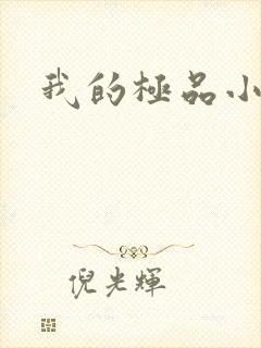 我的极品小姨