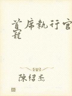 首席执行官的绝宠