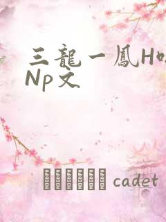 三龙一凤H啪肉Np文