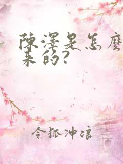 陈泽是怎么火起来的?