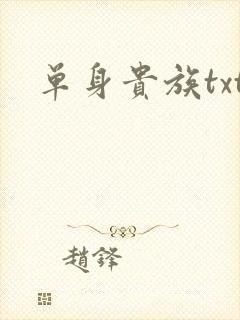 单身贵族txt