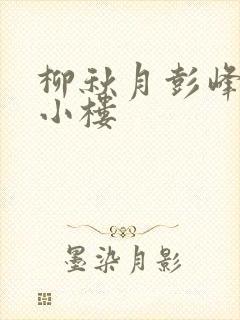 柳秋月彭峰月满小楼