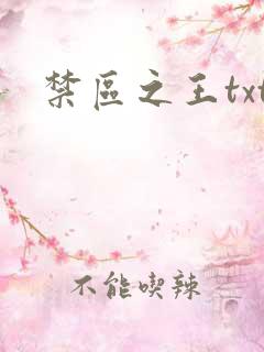 禁区之王txt