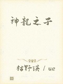 神龙之子