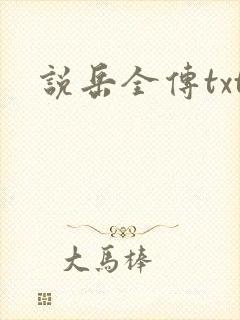 说岳全传txt