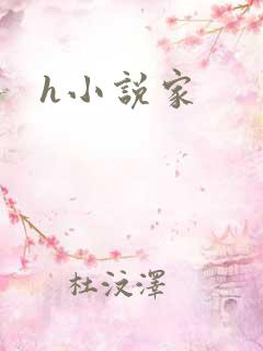 h小说家