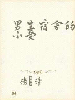 男生宿舍的公共小受