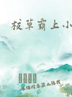 校草霸上小丫头