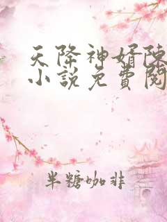 天降神婿陈黄皮小说免费阅读