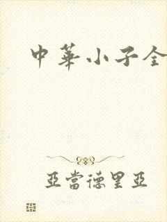 中华小子全集
