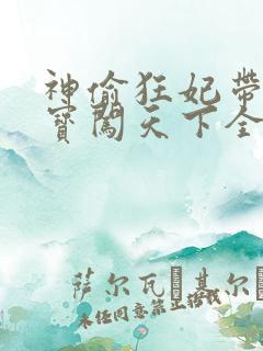 神偷狂妃带着宝宝闯天下全文免费阅读