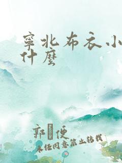 宁北布衣小说叫什么