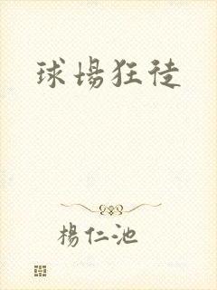球场狂徒