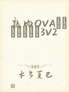 熟肉OVAちゃんはしたい3V2