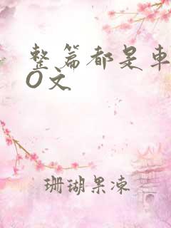 整篇都是车的PO文