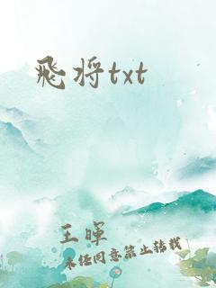 飞将txt