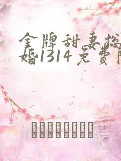 金牌甜妻总裁宠婚1314免费阅读