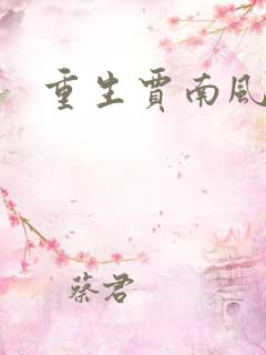 重生贾南风