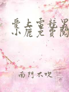 爱上电竞男神林小鹿免费阅读