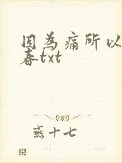 因为痛所以叫青春txt