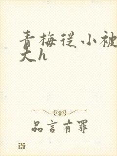 青梅从小被弄到大h