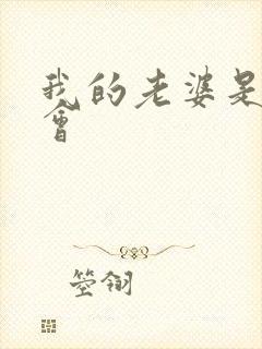 我的老婆是黑社会