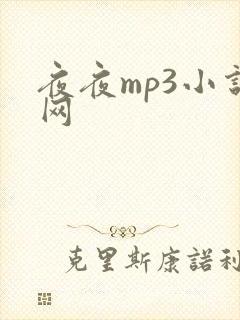 夜夜mp3小说网