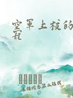 空军上校的邪魅宠