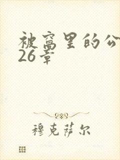 被窝里的公憩第26章
