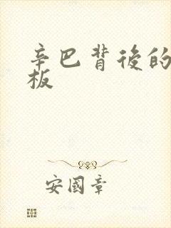 辛巴背后的人老板