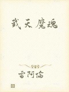 武天魔魂