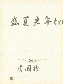 盛夏光年txt