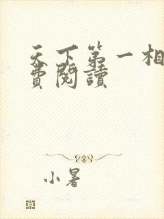 天下第一相书免费阅读