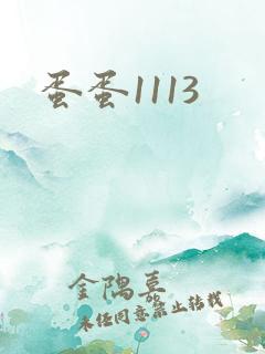 蛋蛋1113