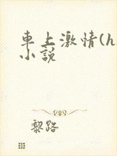 车上激情(h)小说