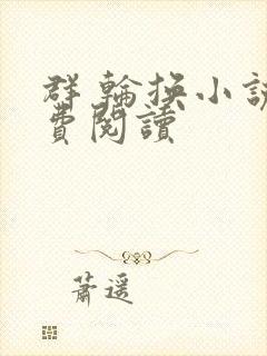 群 轮换小说免费阅读