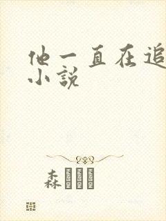 他一直在追初恋小说