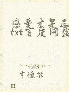 恋爱才是正经事txt百度网盘