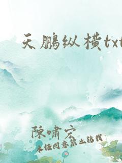 天鹏纵横txt