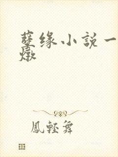 孽缘小说一家乱炖