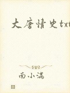 大唐情史txt