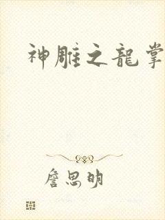 神雕之龙掌门
