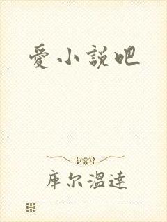 爱小说吧