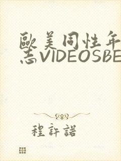 欧美同性年轻同志VIDEOSBEST