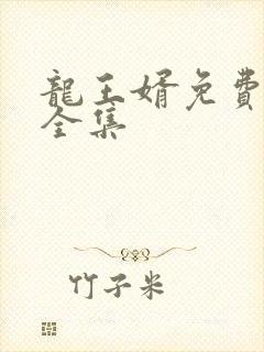 龙王婿免费完结全集