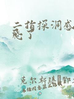 二指探洞感觉要飞了